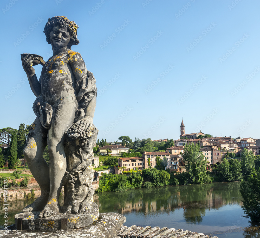 Obraz premium Albi, panoramic view