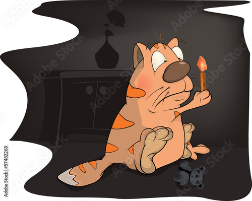 Cat in dark night cartoon