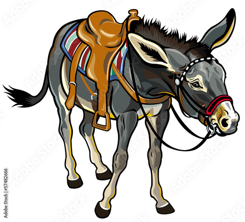 donkey with saddle