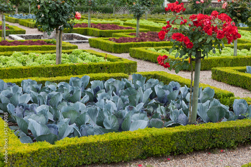 Fotografie Kitchen garden in  Chateau de Villandry. Loire Valley, France