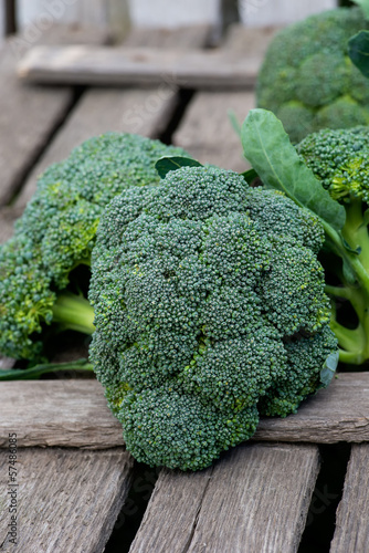 Fresh broccoli over old wooden background