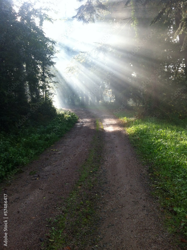 Fototapeta premium Sonnenstrahlen