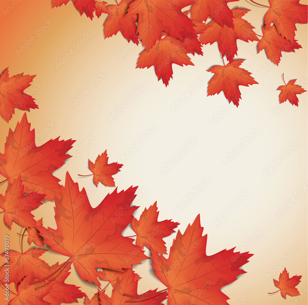 Leaf Background Leaf Background