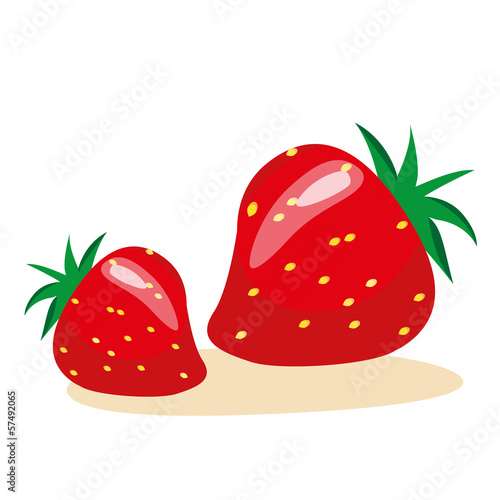 illustration of strawberry fruit