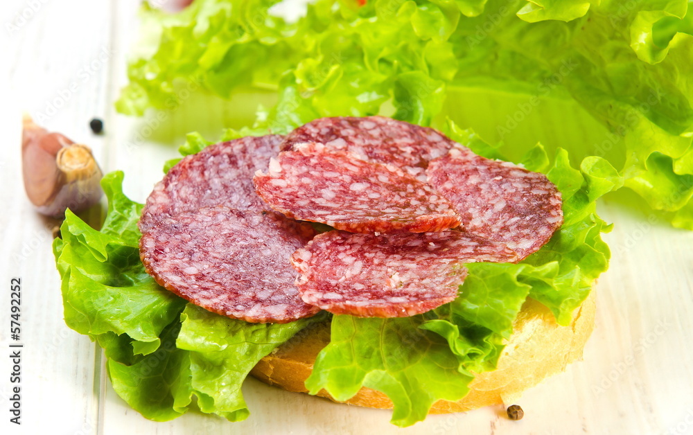 sandwich with salami sandwich with salami