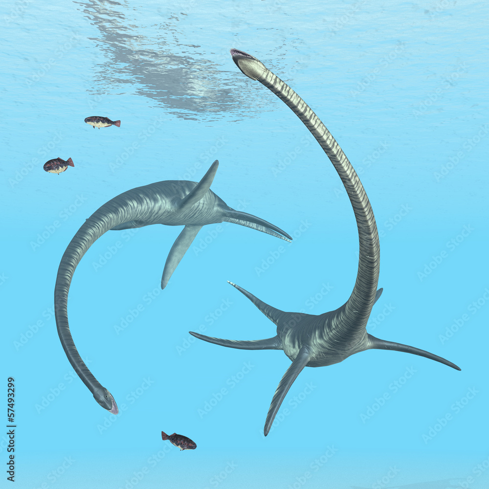Plesiosaur Elasmosaurus StockIllustration Adobe Stock