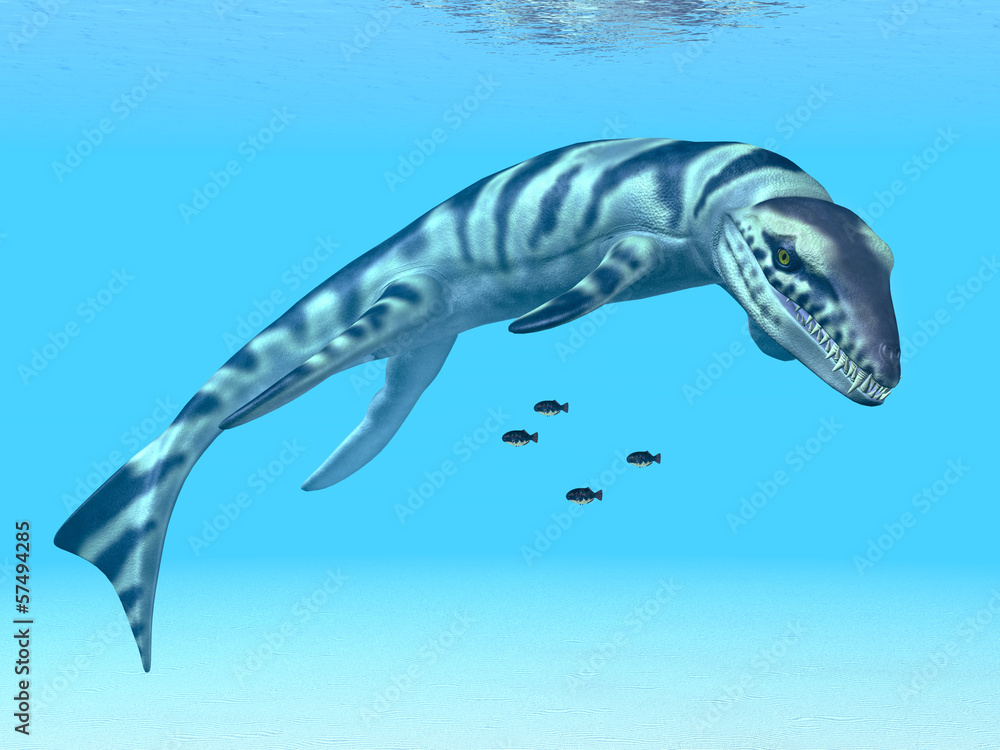 Fototapeta premium Dakosaurus