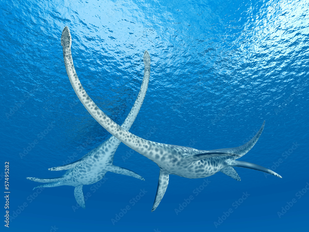 Plesiosaurier Styxosaurus StockIllustration Adobe Stock