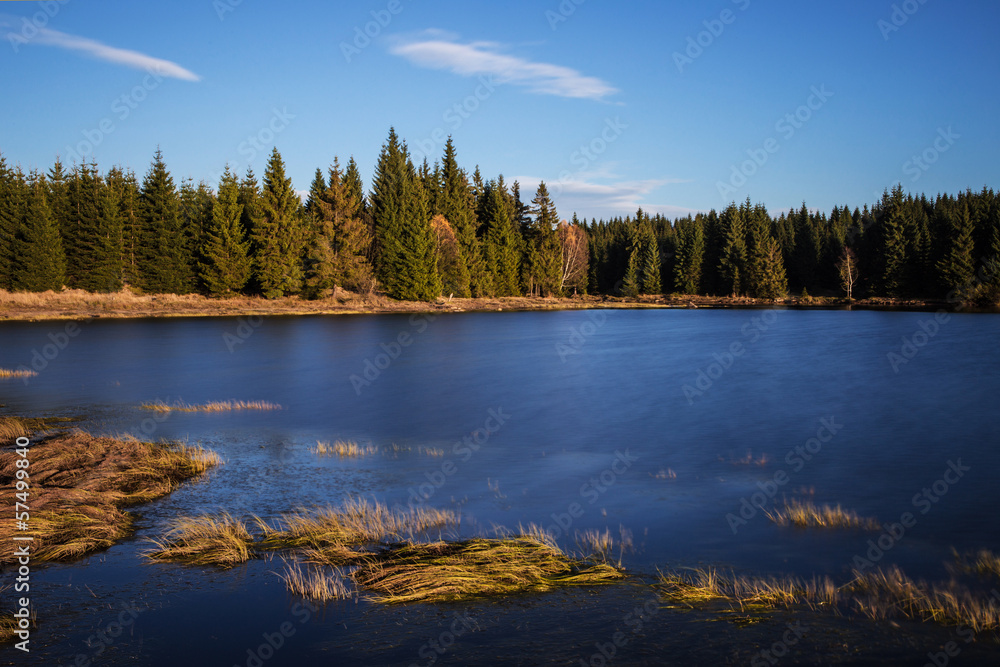 autumn landscape with water