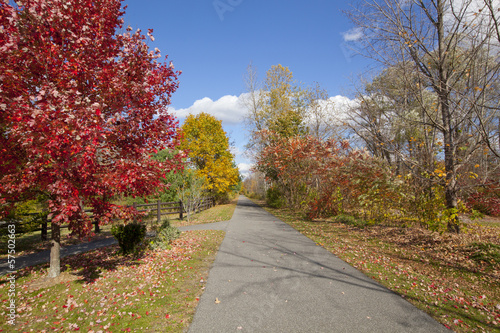 The Ashuwillticook Rail Trail
