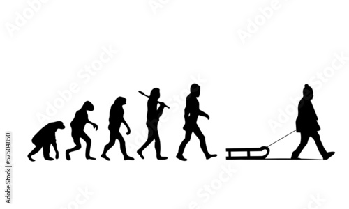 Evolution Sled