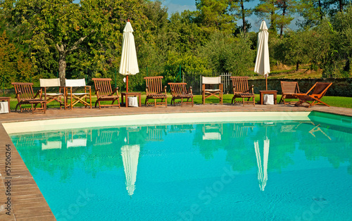 Swimming pool with trees