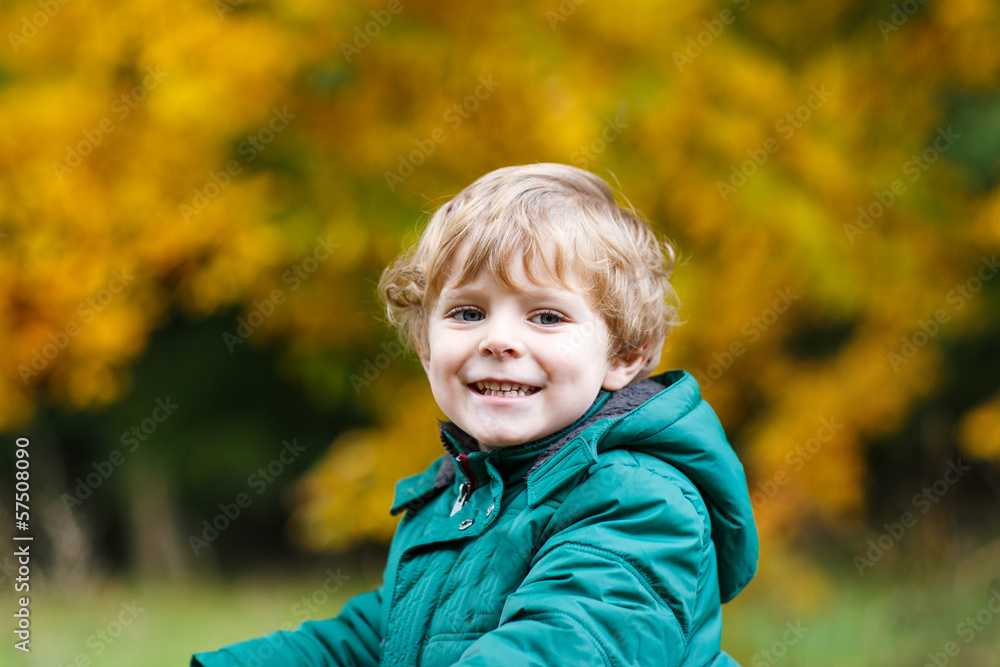 Portrait of little boy in autumn park with yellow foliage. Portrait of little boy in autumn park with yellow foliage.