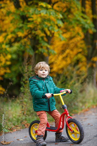 Cute preschool boy of three years riding bike in autumn forest