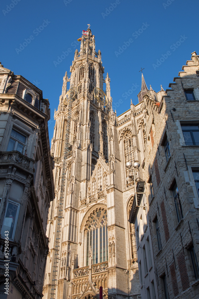 Antwerp - Towers of cathedral of Our Lady in evening  light