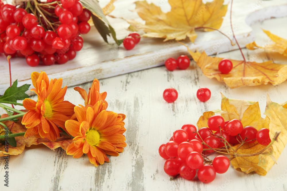 Fototapeta premium Red berries of viburnum with yellow leaves and flowers