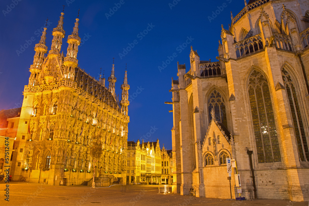 Leuven - Gothic town hall and st. Peters cathedral