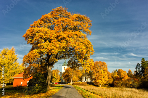 Autumn in Svennevad close to the midpoint of Sweden photo
