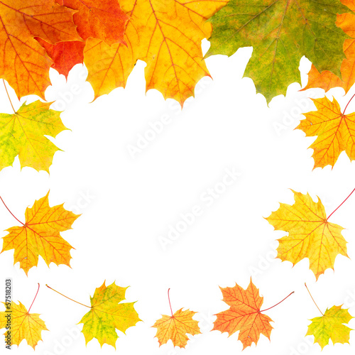 Autumn border card of colored leaves