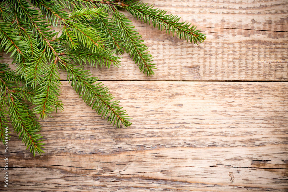 Christmas tree. Christmas tree.