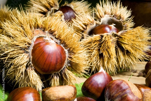 Castagne mature con il gusco