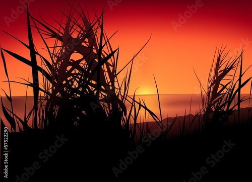 Sunset Lake