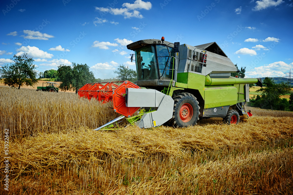 Obraz premium Combine harvester working on cultivated field