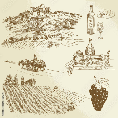 italian landscape, vineyard - hand drawn illustration