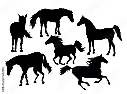 silhouettes of horses