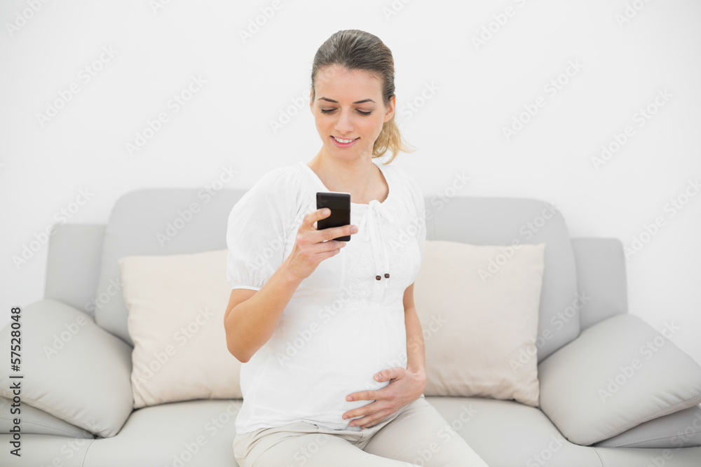 Pretty pregnant woman using her smartphone touching her belly Pretty pregnant woman using her smartphone touching her belly