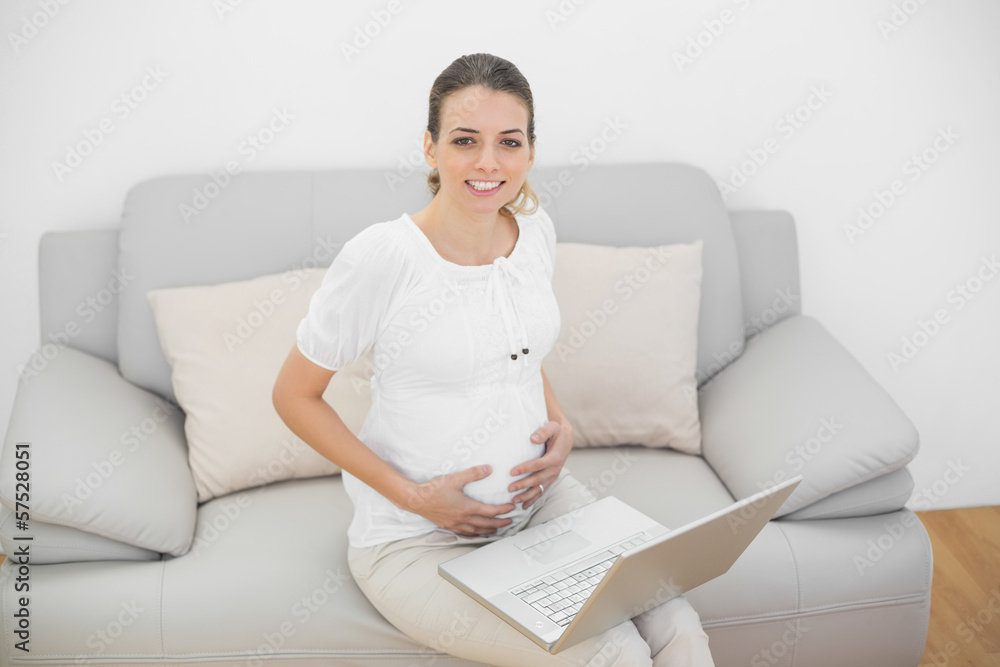 Smiling pregnant woman sitting on couch using her laptop touchin Smiling pregnant woman sitting on couch using her laptop touchin