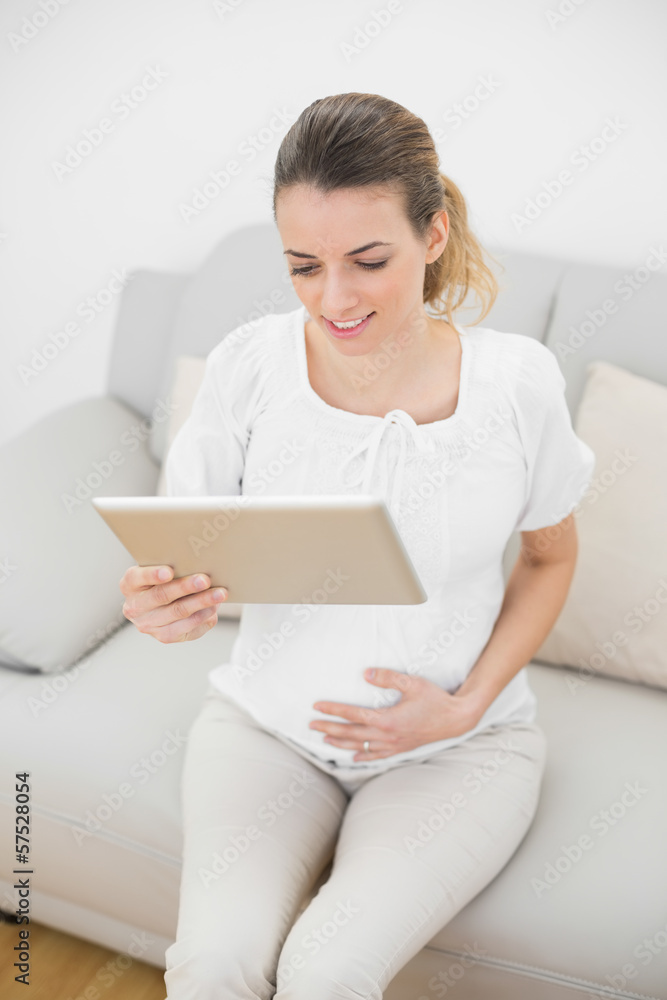 Brunette pregnant woman using her tablet sitting on couch Brunette pregnant woman using her tablet sitting on couch