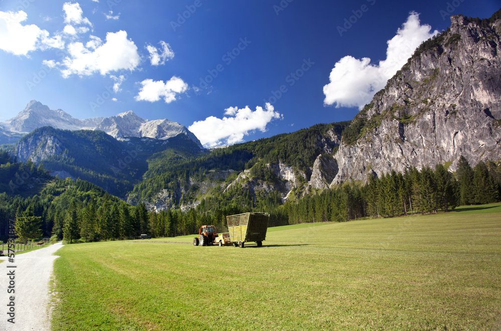 Obraz premium Ernte in den Alpen, Hinterstoder, Österreich