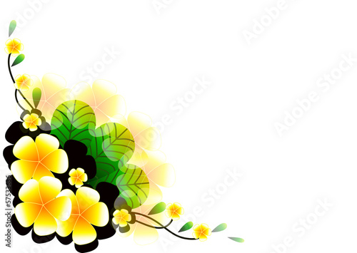 frangipani vector background