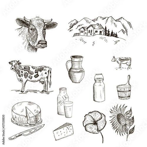 cow and milk