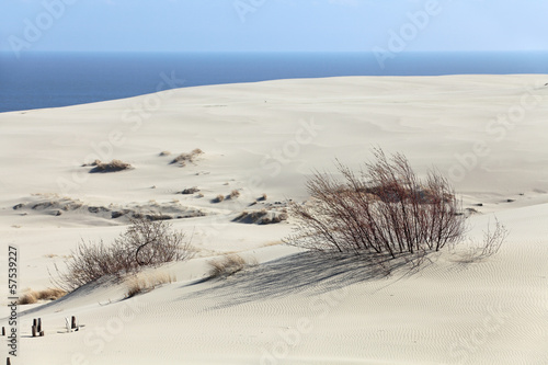 Curonian spit, Russia photo