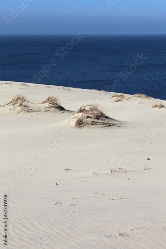 Curonian spit, Russia photo