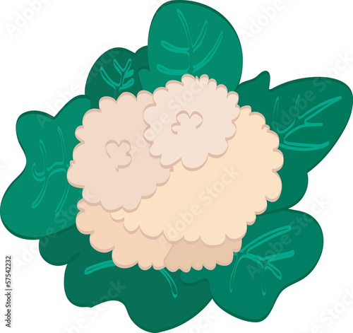 Cauliflower