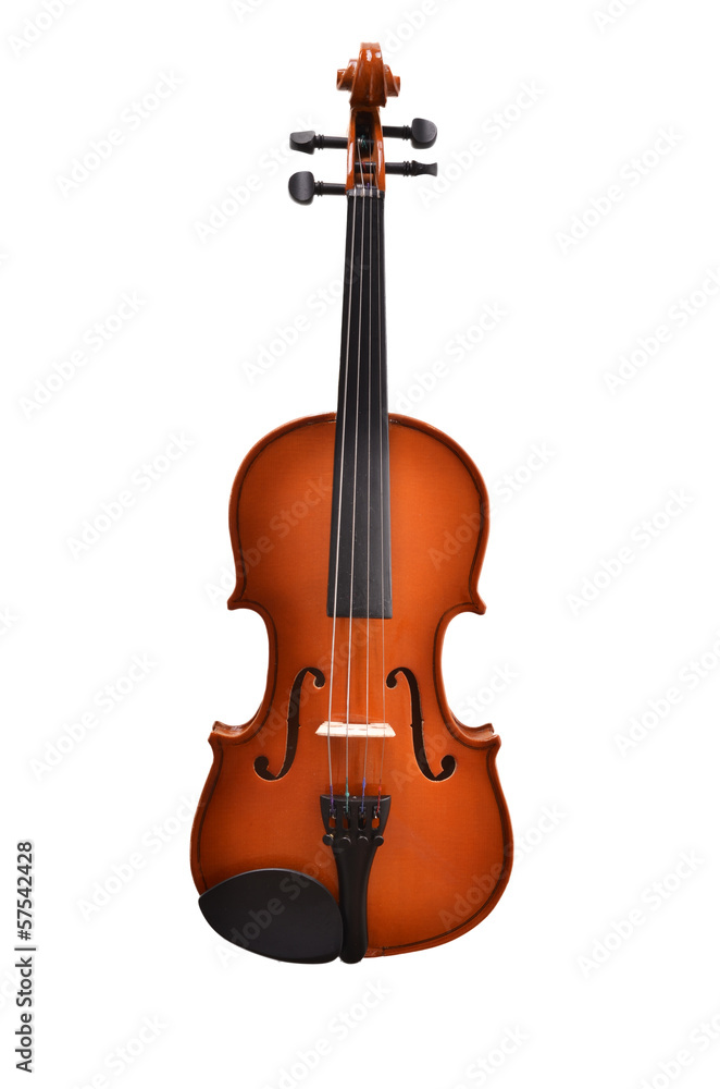 Fototapeta premium violin on white background