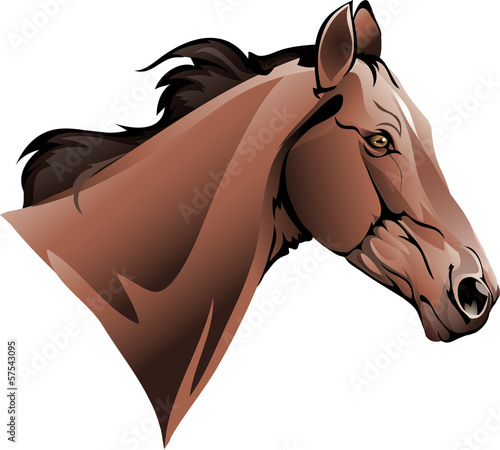 chestnut thoroughbred trotter
