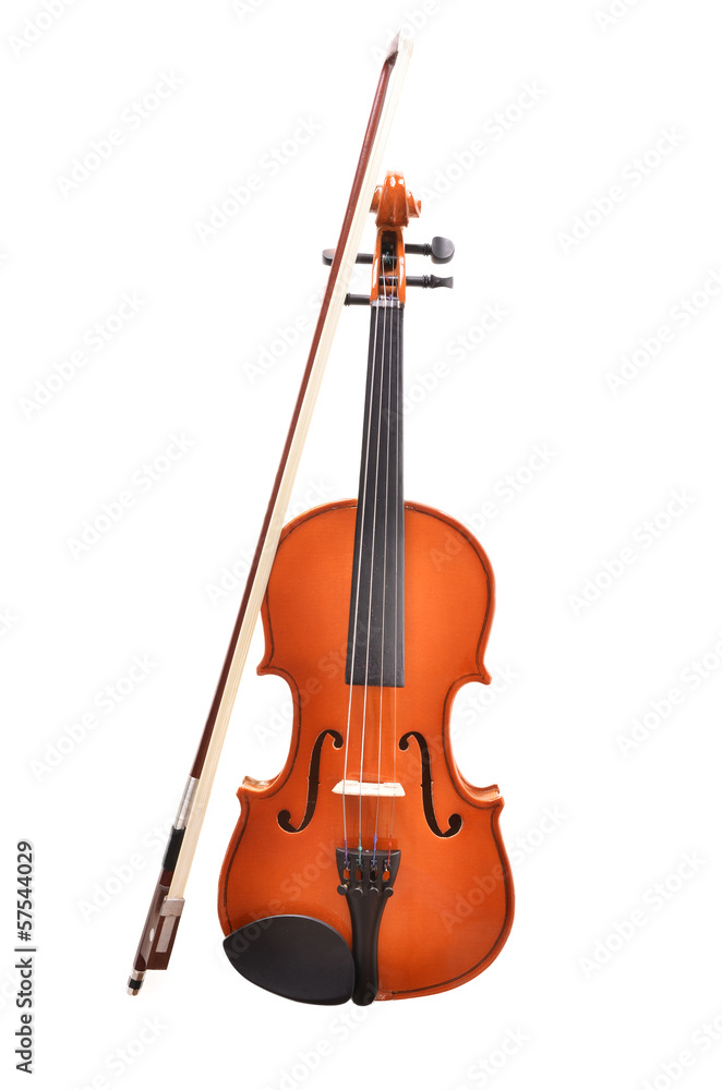 Fototapeta premium violin on white background