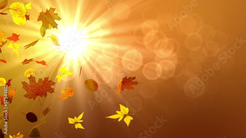 Autumn falling leaves