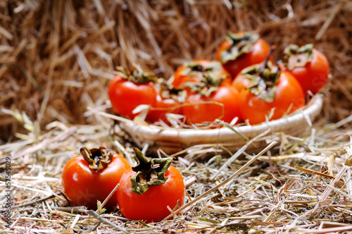 Sweet persimmon photo