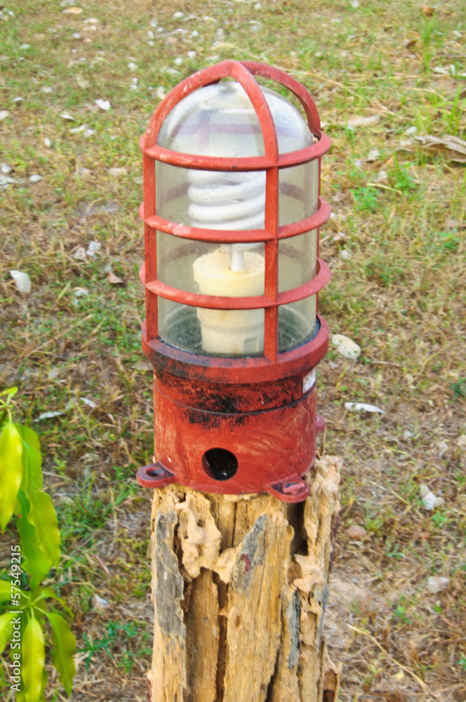 old light lamp with garden for decoration old light lamp with garden for decoration