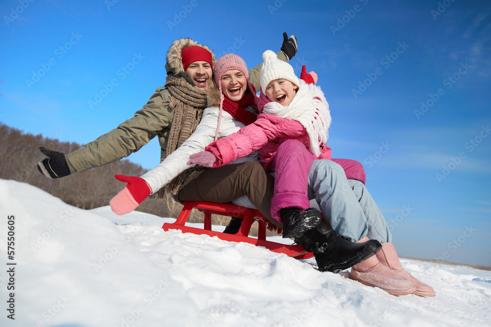 Family on sledge