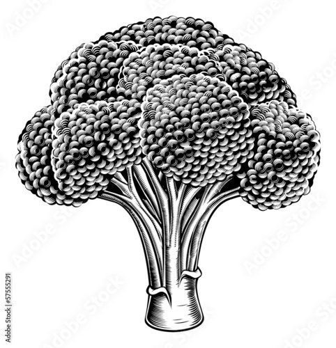 Vintage retro woodcut broccoli