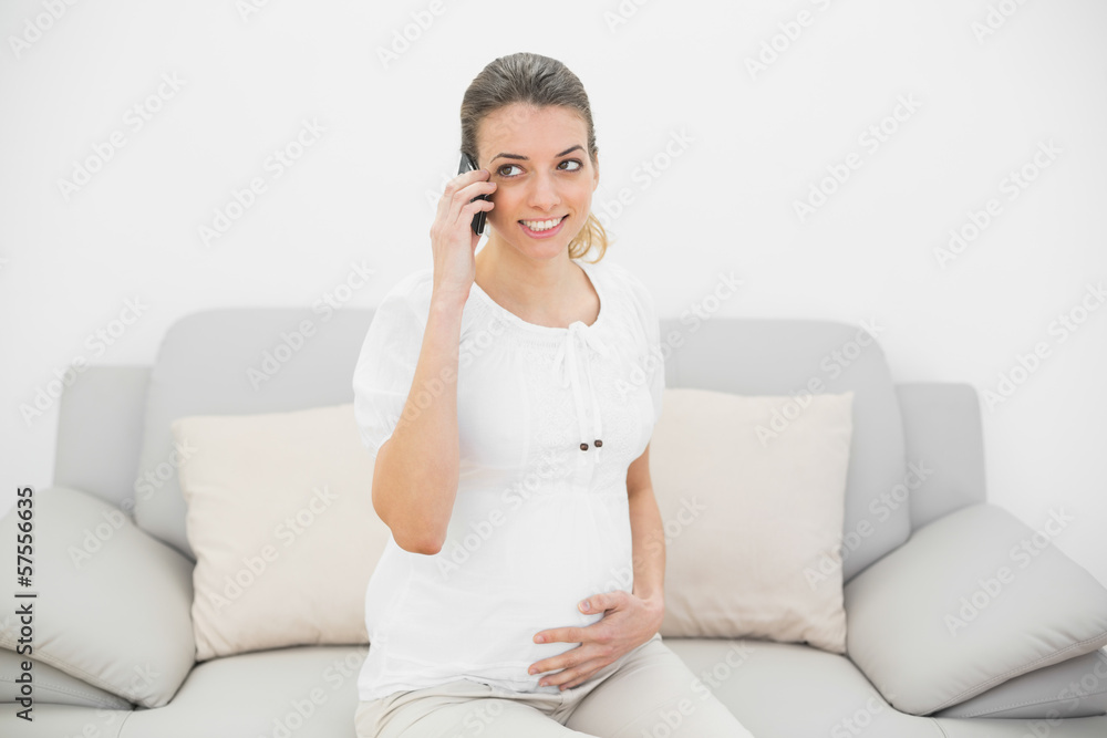 Expectant pregnant woman phoning with her smartphone Expectant pregnant woman phoning with her smartphone