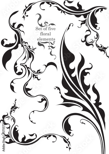 Set of five decorative floral elemets