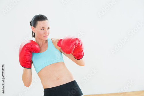 Fit beautiful young woman in red boxing gloves © lightwavemedia