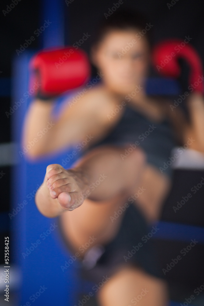 Bemale boxer performing an air kick Bemale boxer performing an air kick